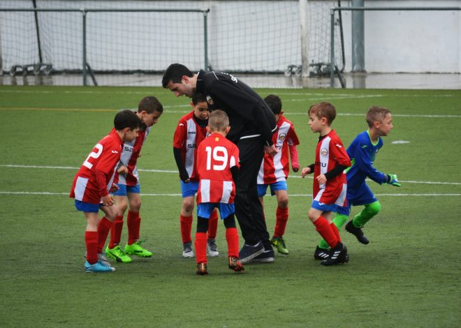 Sports Management Platform: 10 Features for Leagues, Clubs, and Academies